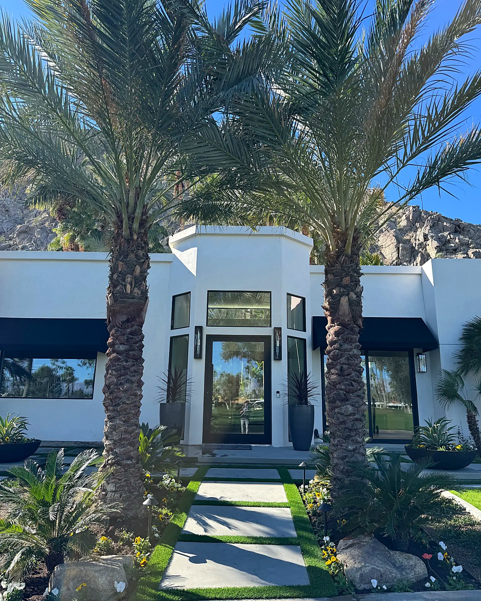 Palm-lined entry walk with large concrete pads set in turf ribbons