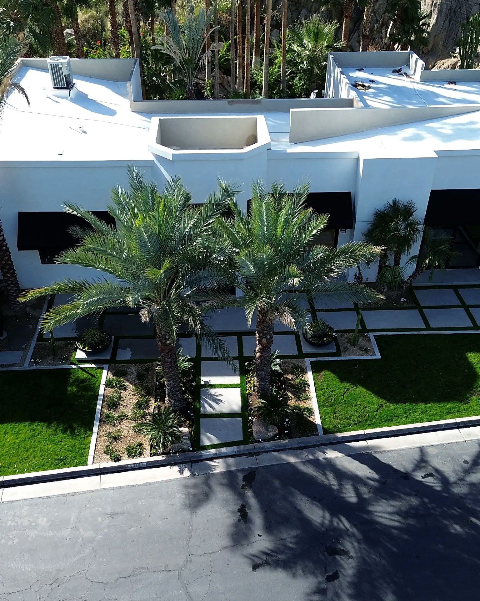 Aerial view of the front elevation with palm canopies over the pad-and-turf entry
