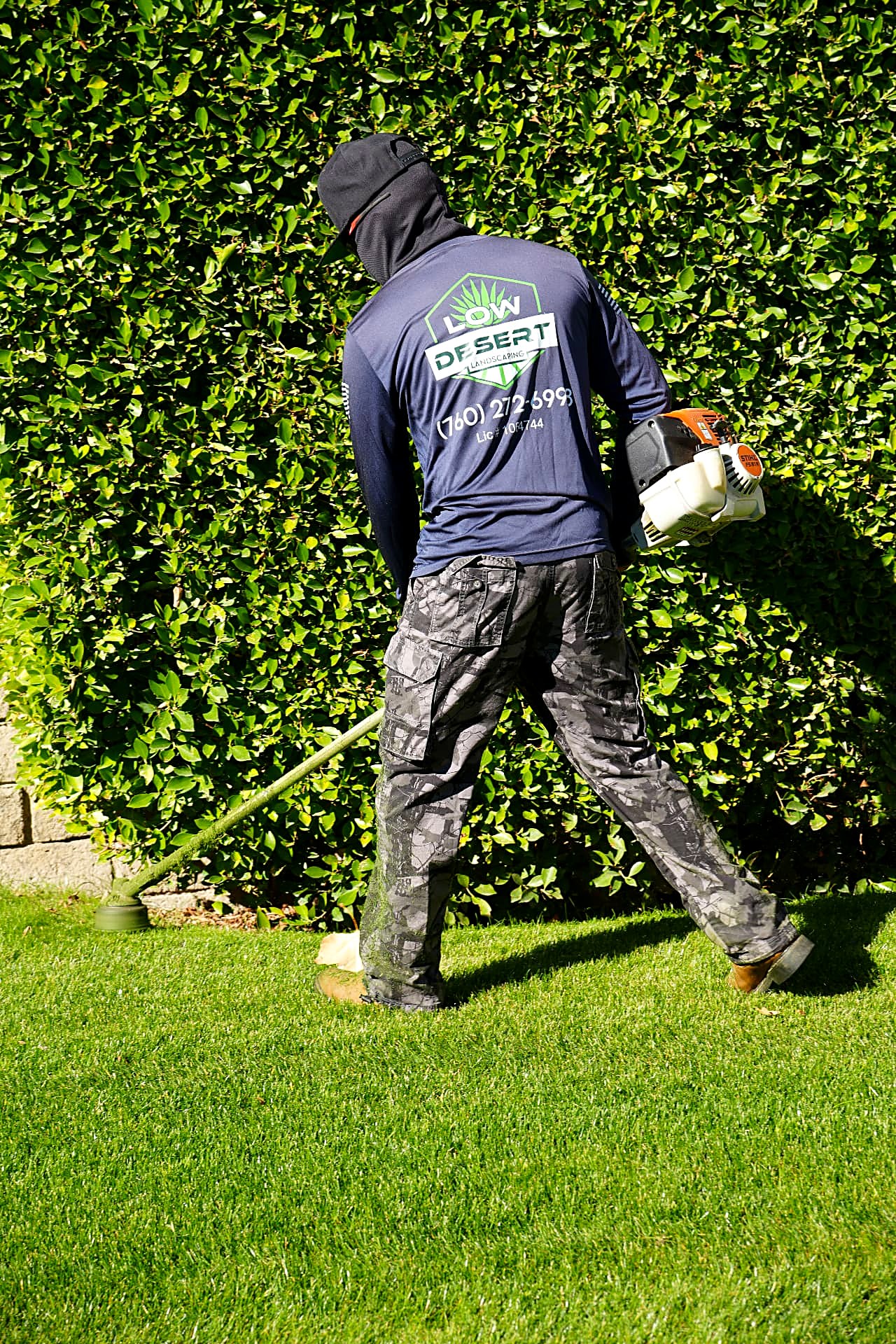 Crew member edging turf along a hedge line with a string trimmer