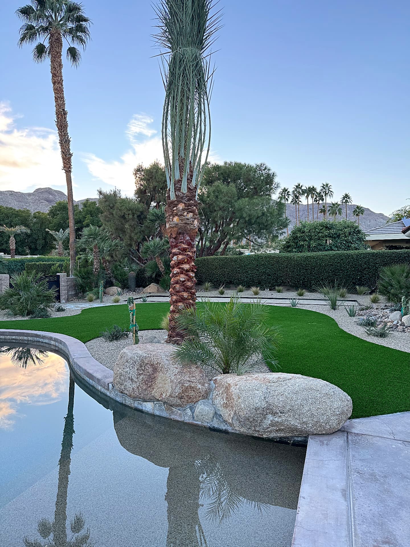 Pool edge lined with large boulders beneath a tall palm and curved artificial turf