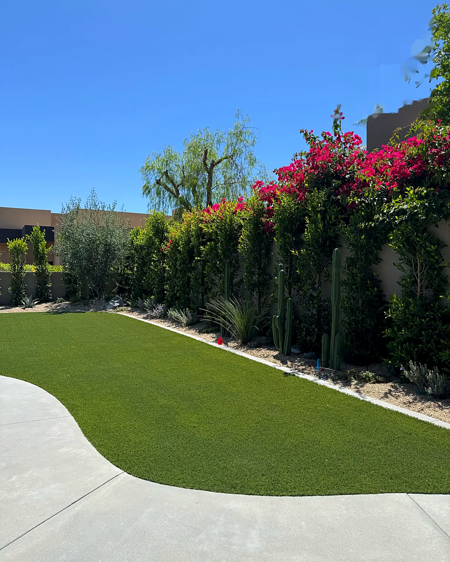 Turf lawn against a bougainvillea hedge wall