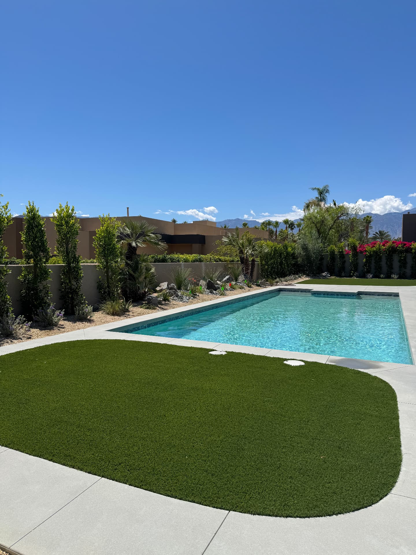 Pool wrapped by a curved artificial turf lawn and privacy hedge
