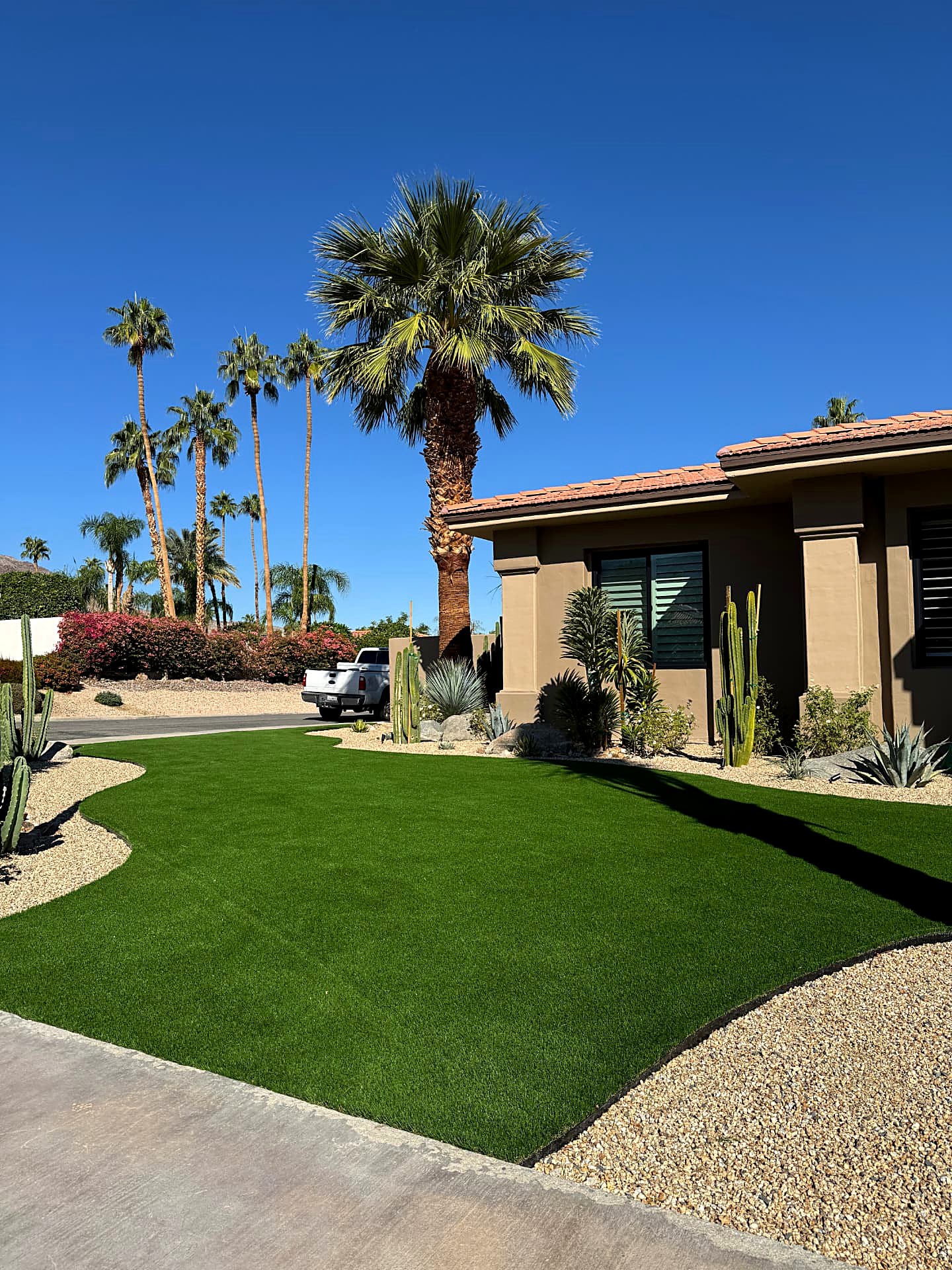 Front yard turf lawn with palm and cactus border
