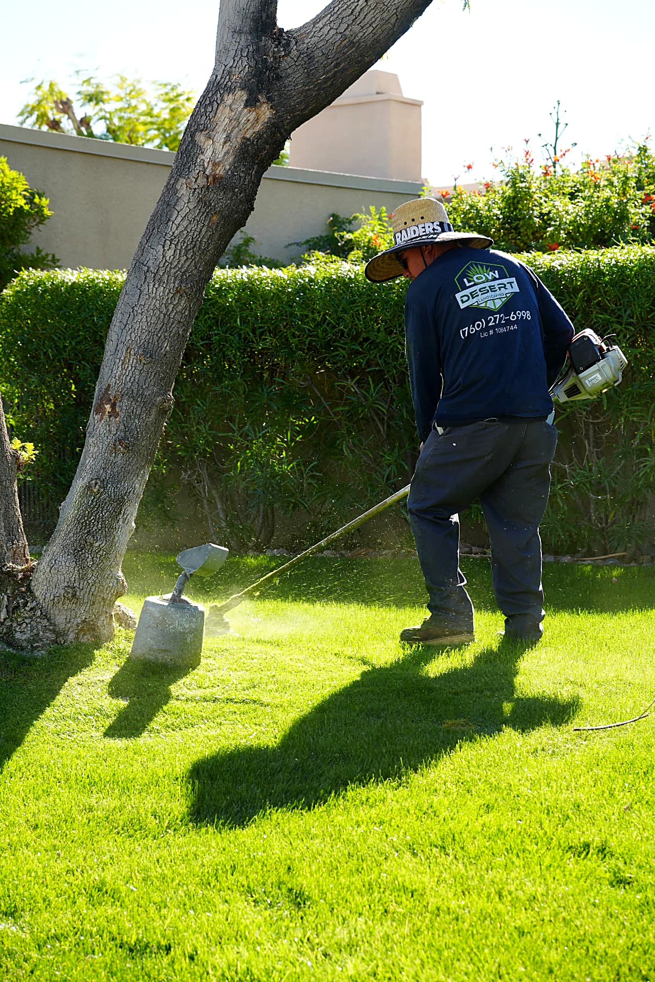 Crew member trimming grass around a tree with a string trimmer