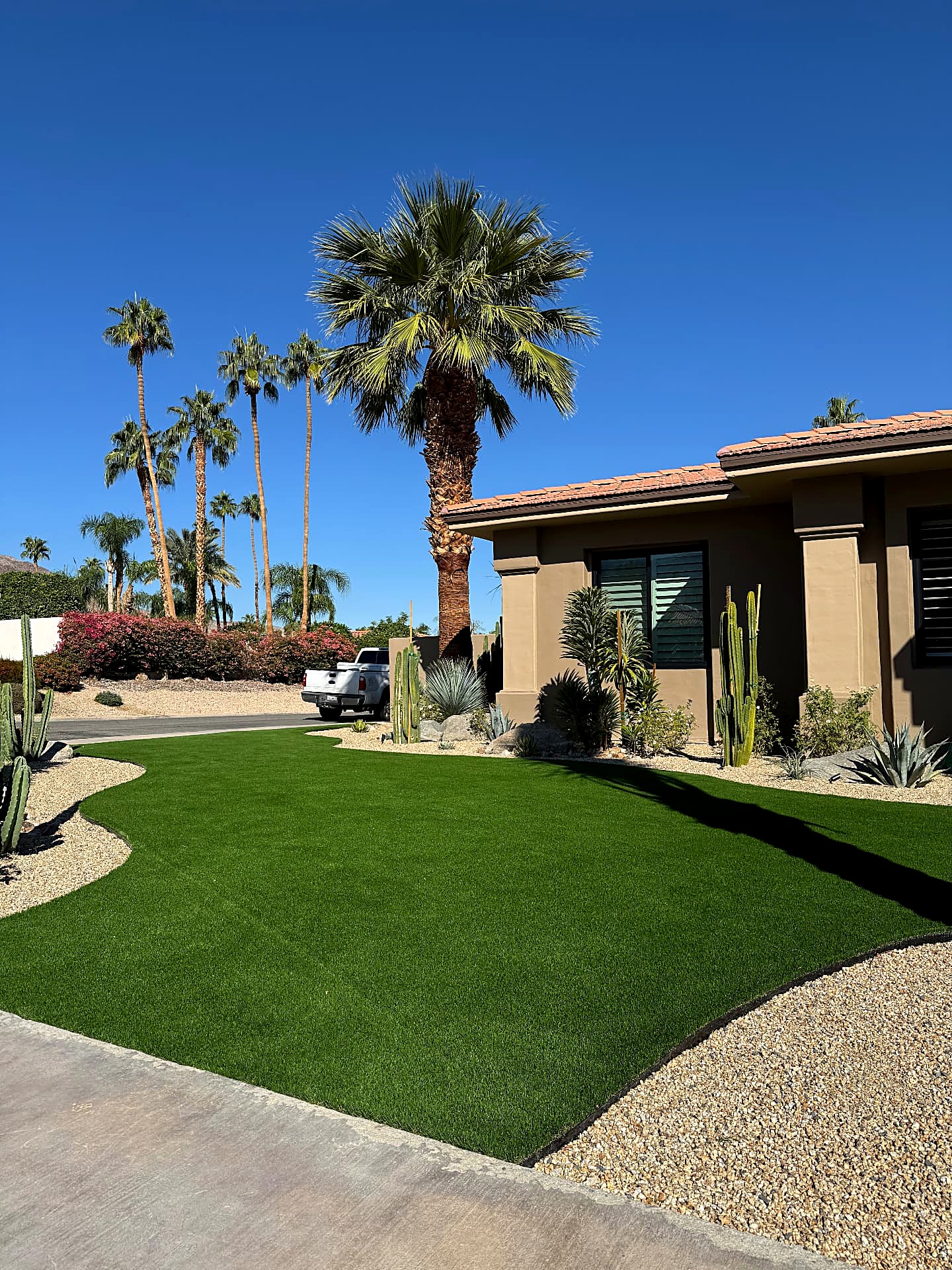 Front yard after — sweeping curves of artificial turf framed by gravel beds and palms