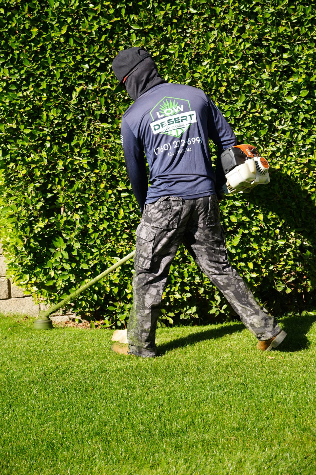 Crew edging turf along a trimmed hedge