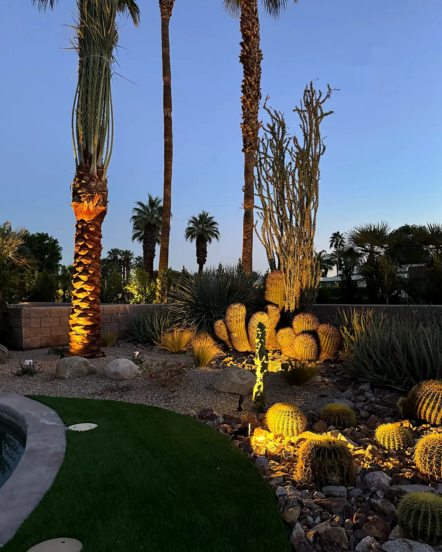 Desert garden at dusk with landscape lighting on palms and golden barrel cactus